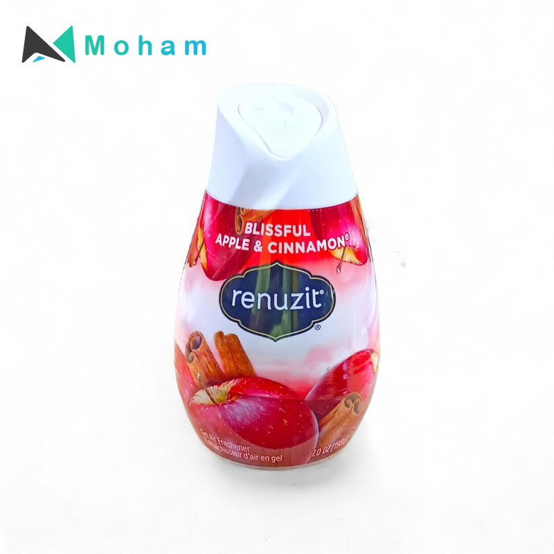 RENUZIT AIR FRSHNR ADJST APPLE & CINNAMON 198G