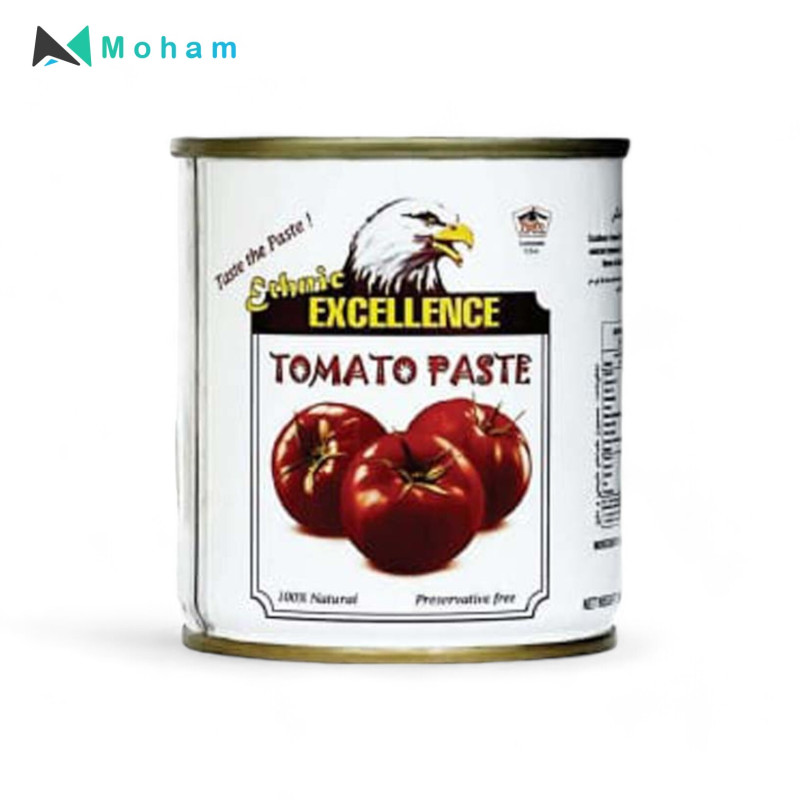Ethnic Excellence Tomato Paste-198g